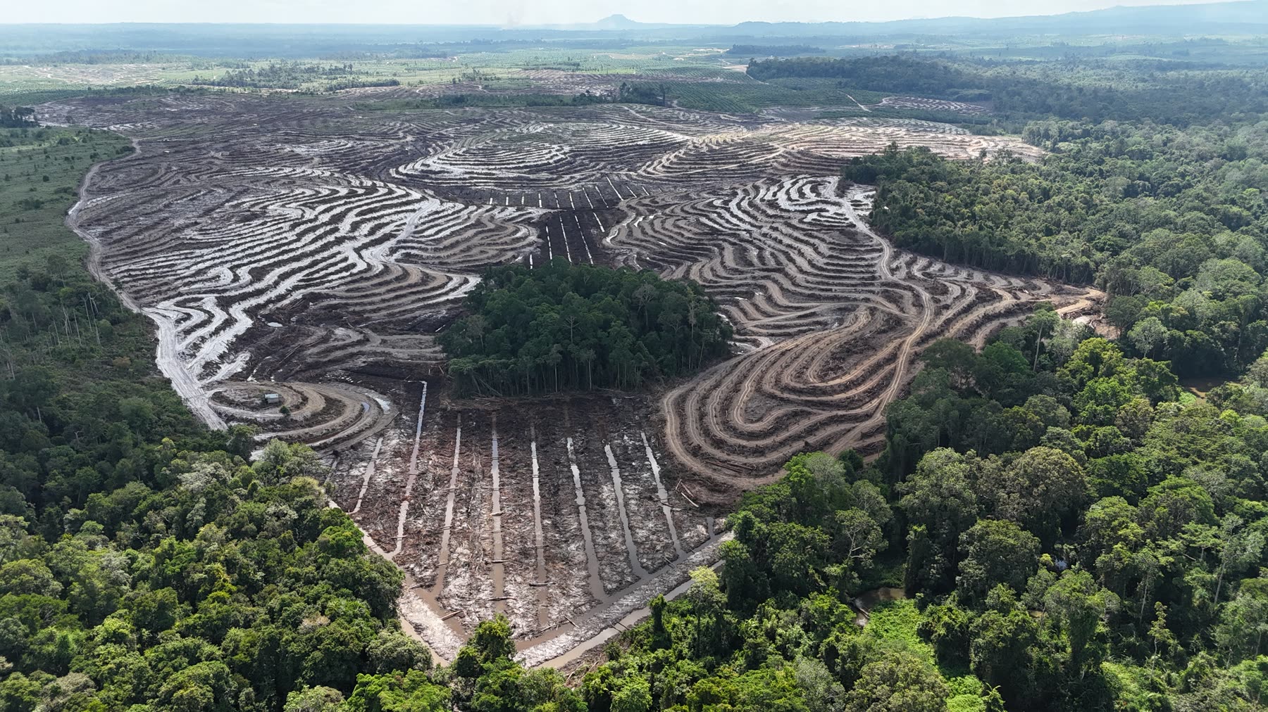 Foto udara lanskap hutan dan pembukaan lahan